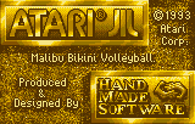 Malibu Bikini Volleyball - Screenshot